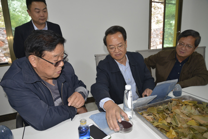 蒙启良（右二）一行在上司镇.jpg