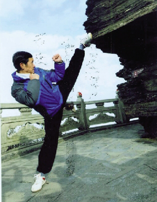 1574910680729032441.jpg 4045-A4-4.jpg