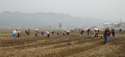 4108-A1-2.jpg
