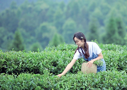 一名游客在岑巩县客楼镇高山.jpg