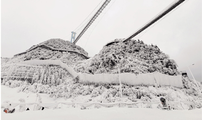 1610415208259084227.jpg 4266-4-8.jpg