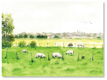 1621509931777070284.jpg 4333-3-1.jpg