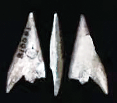 4528-4-2.png