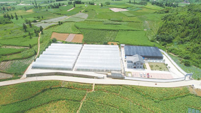 4555-4-4烟区新貌。.jpg
