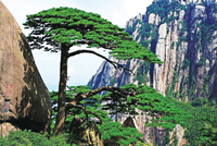 1670553928719034620.jpg 4623-4-1.jpg