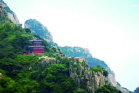 1670553973209077225.jpg 4623-4-2.jpg