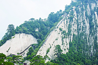 1670554017477023610.jpg 4623-4-3.jpg