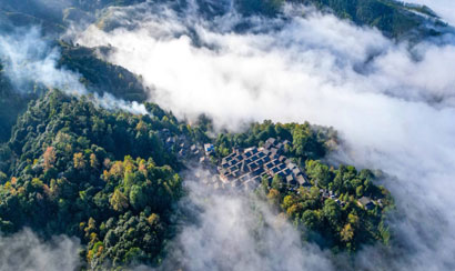 1677806355062037862.jpg 4669-4-2.jpg