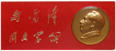 4671-4-11-向雷锋同志学习小.jpg