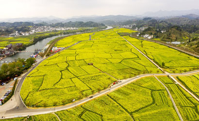 4682-4-1黔中之春已来临.jpg