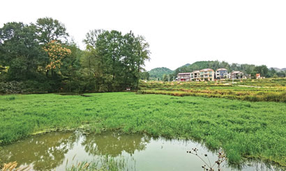 4687-3-4茂龙塘前的山塘.jpg