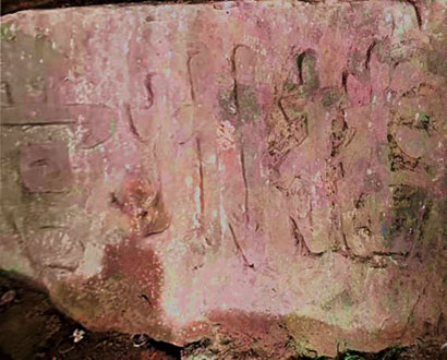 4766-3-1.jpg