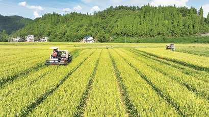 1692752772513082104.jpg 4767-3-2.jpg