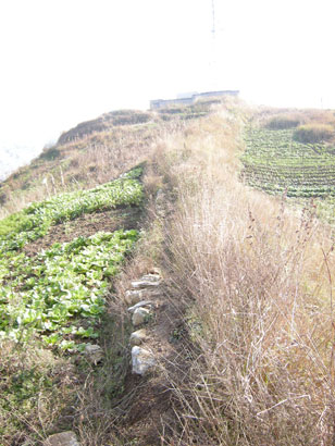 4857-3-2-民国开阳八景之柳杨.jpg