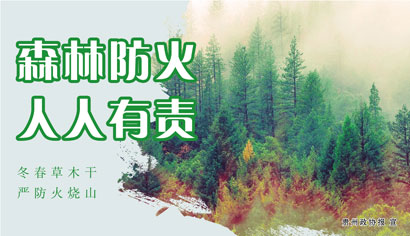 广告.jpg
