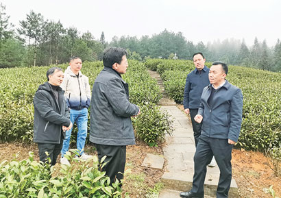 4880-2-1配图.jpg