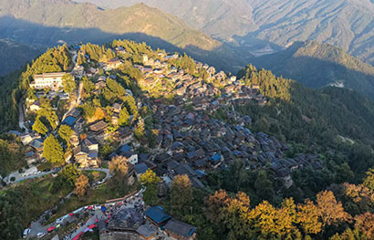 1765415810727081390.jpg 5231-4-5.jpg