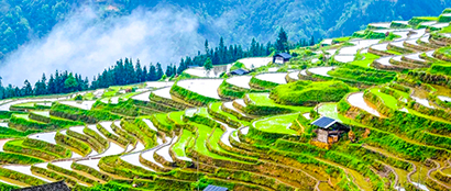 1770253360007095375.jpg 5.jpg