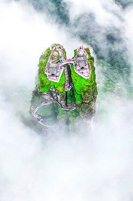 1770253409032019275.jpg 4.jpg