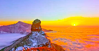 1770340195854090747.jpg 9619efdc7f8d6340b41430e43f5e3d20.jpg