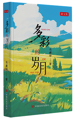 1770858479251040478.jpg 3.jpg