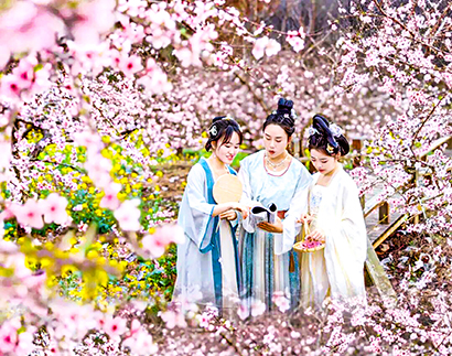 1772850184124083442.jpg 近日,黔东南州镇远县柏杨坪桃花园桃花肆意盛放。图为2月26日,游客在桃花园内拍照打卡。来源:黔东南州文体广电旅游局.jpg