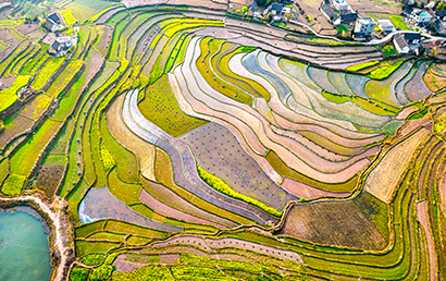 1774400436780086705.jpg 5291-4-3.jpg