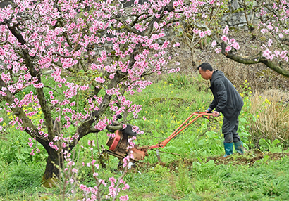 1774400456725040141.jpg 5291-4-4.jpg