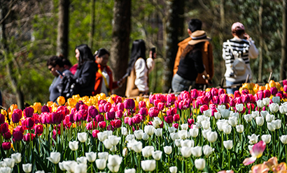 1774400475949068476.jpg 5291-4-5.jpg