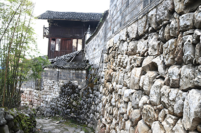 1775780794810034616.jpg 5300-4-2.jpg