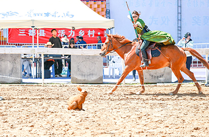 QQ图片20260506110621.jpg